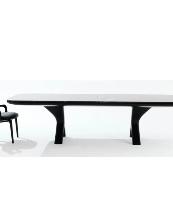 Mesa Raiz